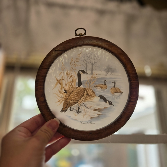 Canadian Goose Glass Wood Framed Hanging Art - Picture 2 of 3